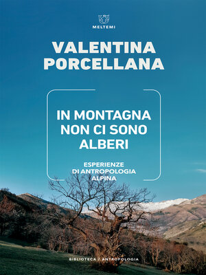 cover image of In montagna non ci sono alberi